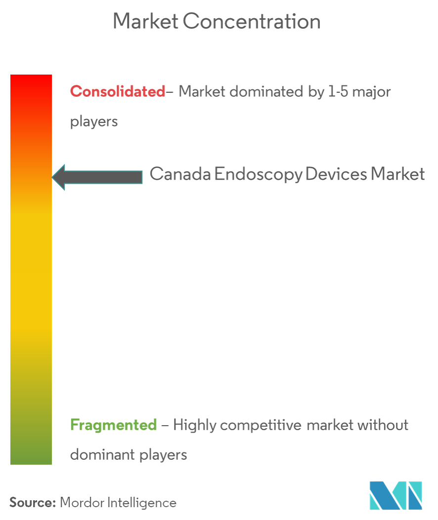 Canada Endoscopy Devices Market Concentration
